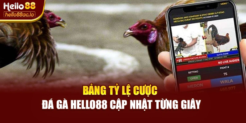 Bảng tỷ lệ cược đá gà Hello88 cập nhật từng giây