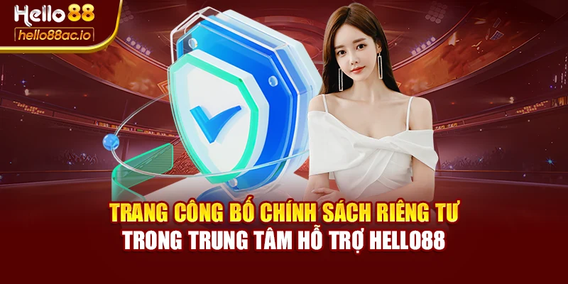 Trang công bố chính sách riêng tư trong trung tâm hỗ trợ Hello88